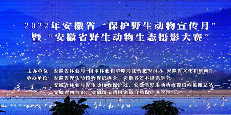 WPS图片(6).jpg
